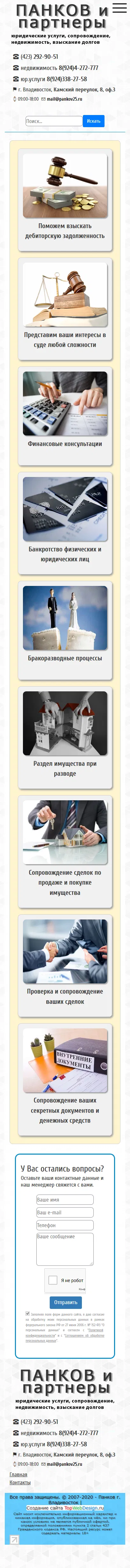 Панков и партнеры, изображение 2